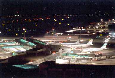 �`�����M�̖�i�@(C)2004ChangiAirport/SMRT/STARLIGHT STUDIO